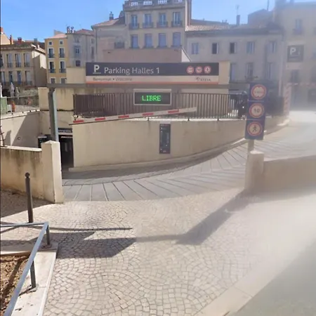 Vakantiehuis Tiny House 1, 2 Ou 3 Personnes Soeursgrises Centre Historique Coeur De L'herault Occitanie, Vieille De France, Chemin De Compostelle A Pied Ou Velo, Passeport Du Pelerin 24h, Petits Dejeuners Et Repas, 300m Du Centre Béziers