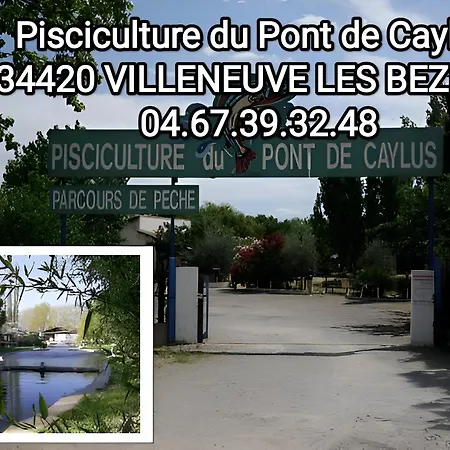 Vakantiehuis Tiny House 3 Personnes Soeursgrises Centre Historique Coeur De L'herault Capitale D'occitanie *