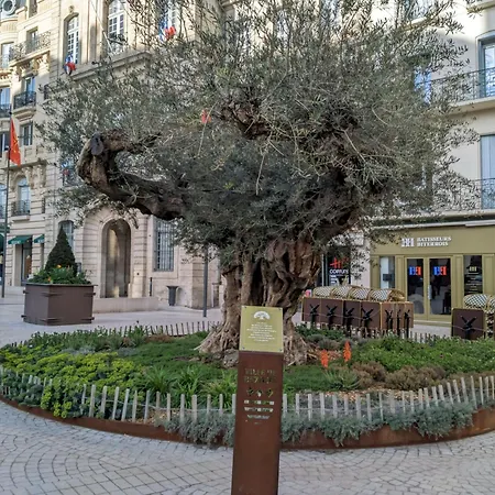 Vakantiehuis Tiny House 1, 2 Ou 3 Personnes Soeursgrises Centre Historique Coeur De L'herault Occitanie, Vieille De France, Chemin De Compostelle A Pied Ou Velo, Passeport Du Pelerin 24h, Petits Dejeuners Et Repas, 300m Du Centre Béziers