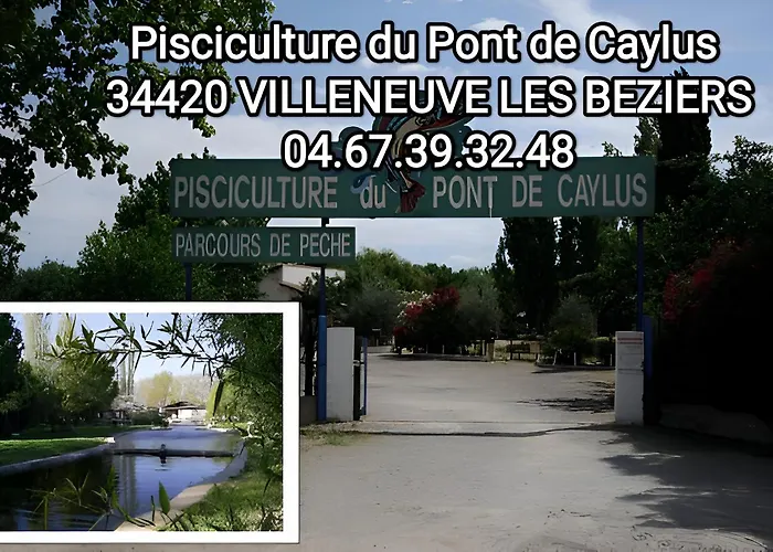 Дом отдыха Tiny House 1, 2 Ou 3 Personnes Soeursgrises Centre Historique Coeur De L'herault Occitanie, Vieille De France, Chemin De Compostelle *