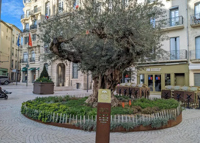 Дом отдыха Tiny House 1, 2 Ou 3 Personnes Soeursgrises Centre Historique Coeur De L'herault Occitanie, Vieille De France, Chemin De Compostelle Безье
